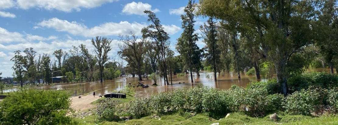 La provincia coordinó con municipios la asistencia para las familias afectadas por la crecida del río Uruguay