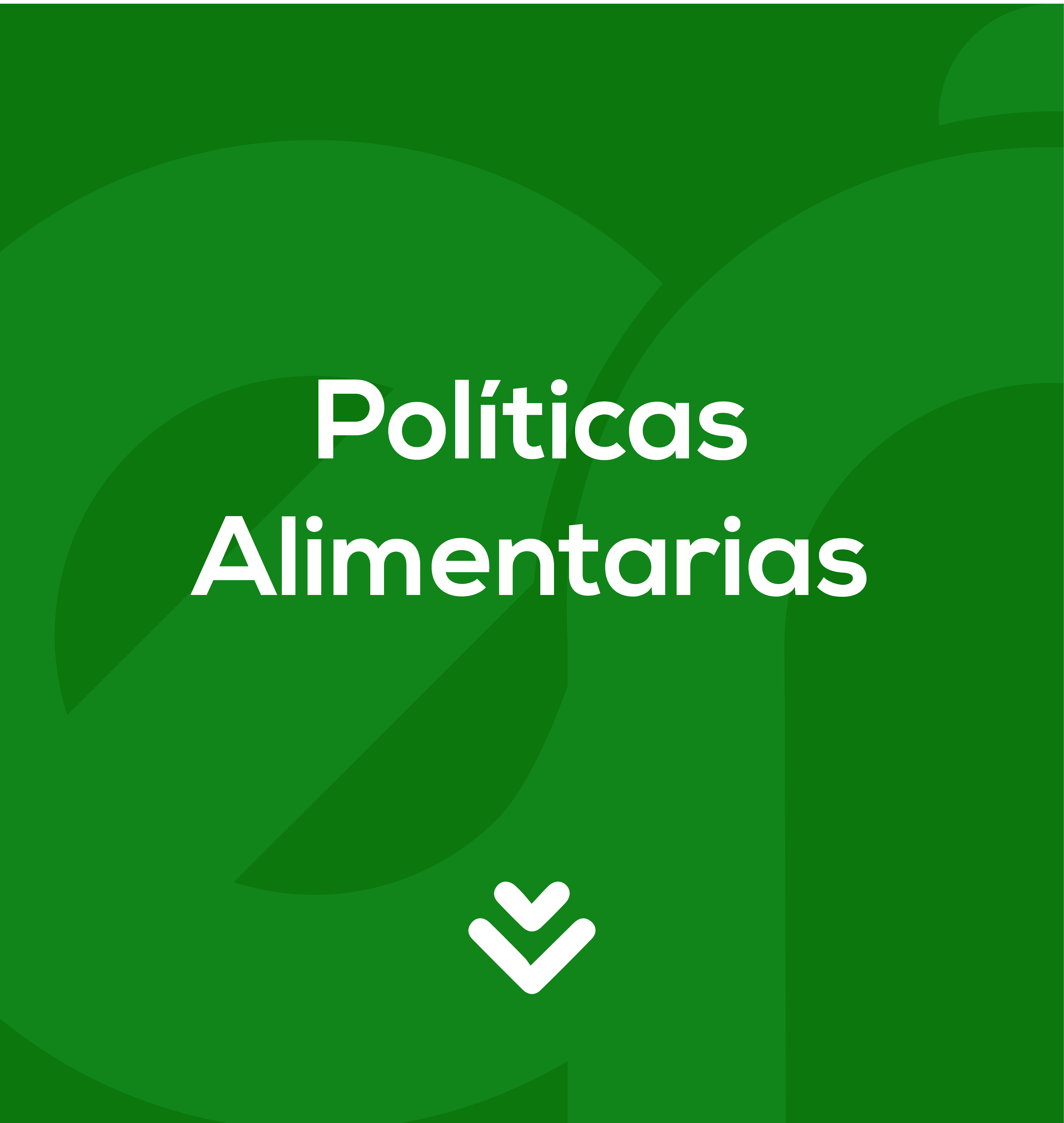 POLITICAS ALIMENTARIAS