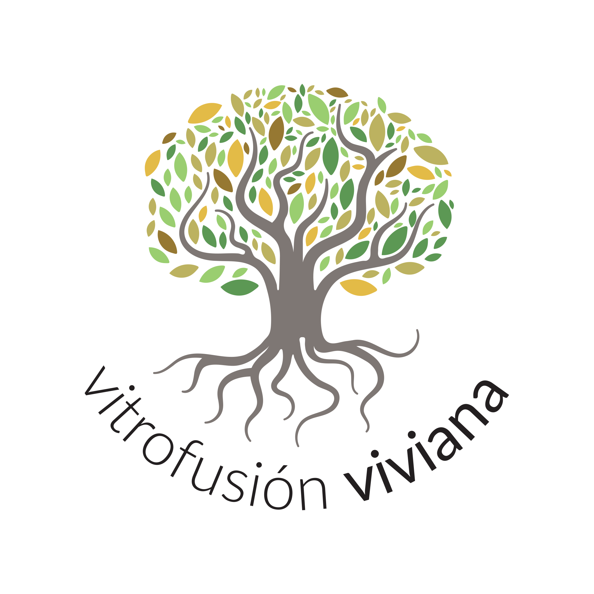 vitrofusion vidrio deco hogar artesanal