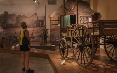 La Noche de los Museos Entrerrianos en articulación federal