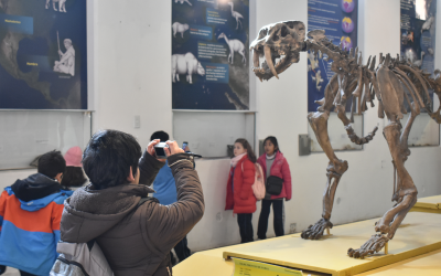 Actividades por las vacaciones de invierno en el Museo de Ciencias Naturales Antonio Serrano