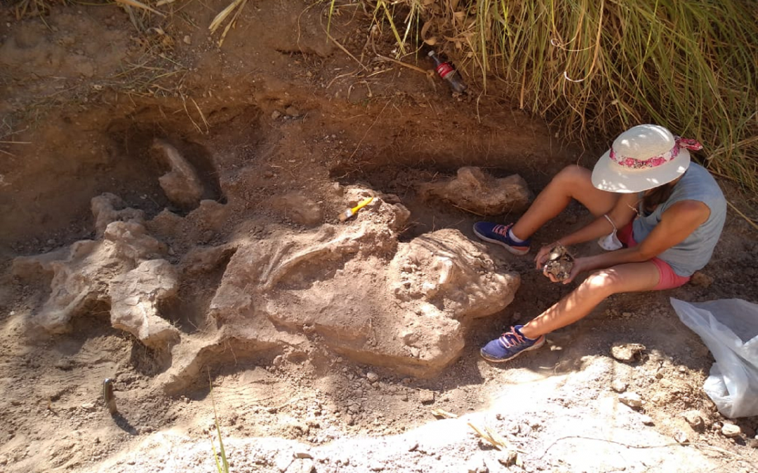 El Museo Serrano invita a un conversatorio sobre el hallazgo paleontológico en el Arroyo Espinillo