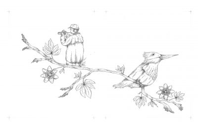 Museo Serrano: Se presentará el libro Entre Aves del autor Mauro Germán Peltzer