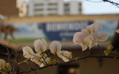 Hasta finales de mayo se encuentra abierta la Convocatoria al Premio Literario Fray Mocho