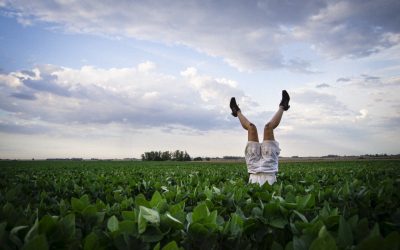 “El regreso de los pájaros” se presenta en el Ciclo Domingos de Teatro en la Usina