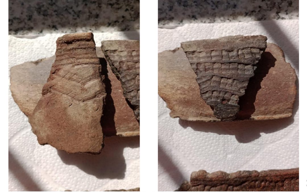 Hallazgo de material arqueológico en una planta de extracción de arena en Ibicuy