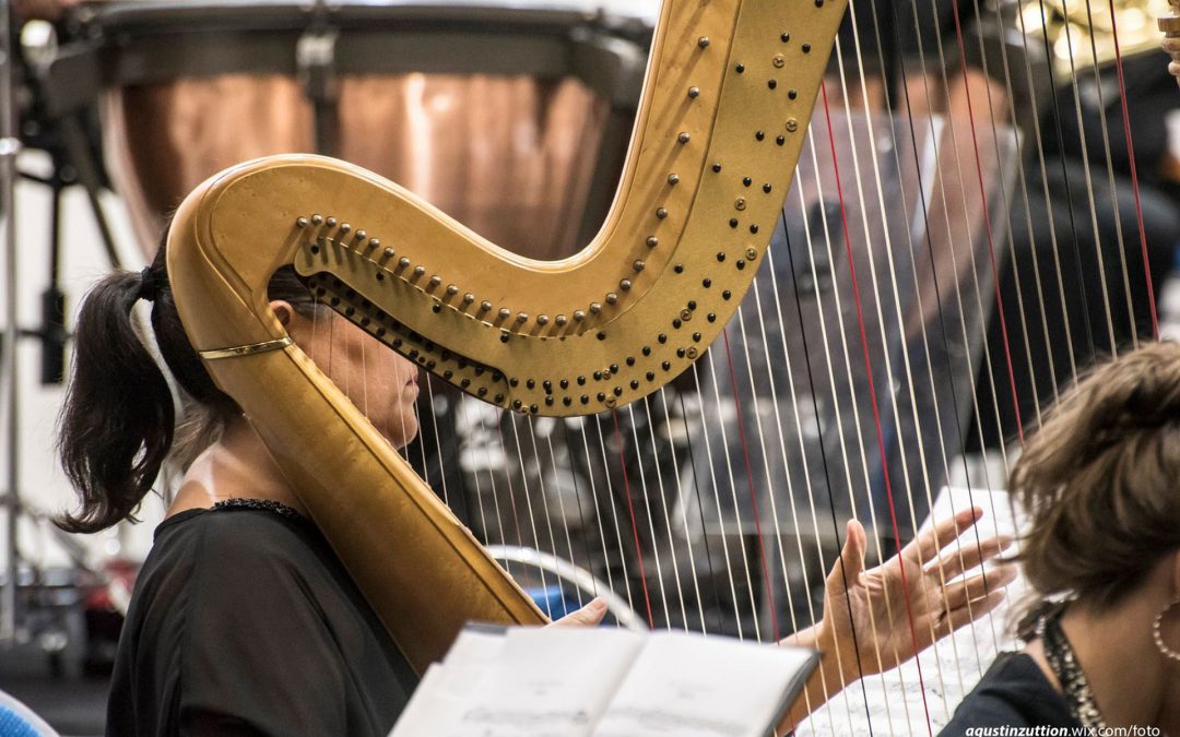 Obras de Gustav Mahler y Joseph Haydn por la Sinfónica de Entre Ríos en La Vieja Usina