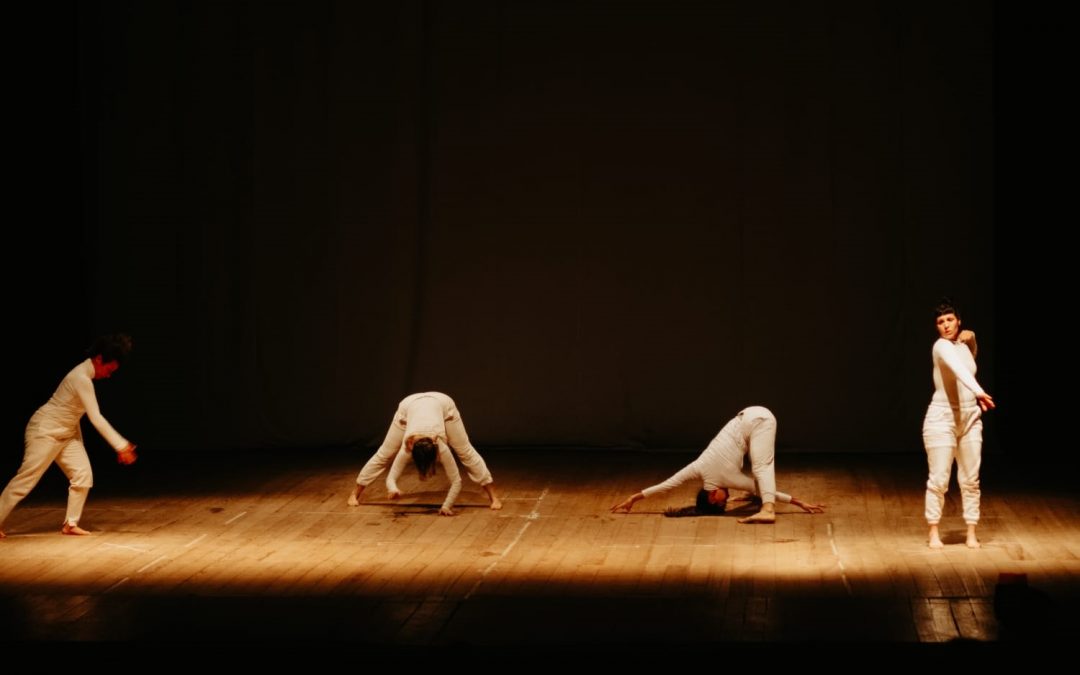 El Premio Provincial de Danzas: ganadoras y ganadores de la segunda edición