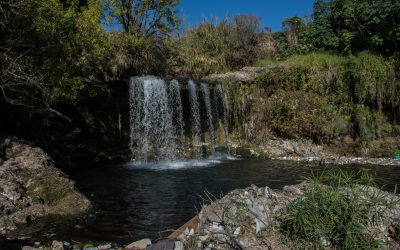 Se inaugura un ciclo de cine para reflexionar sobre el valor del ambiente, en el marco de la Agenda de Verano 2024 