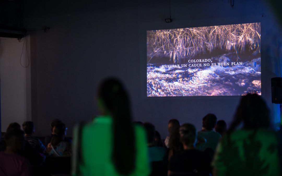 Con el espacio colmado de público, empezó el cine ambiental en el Museo de Bellas Artes 