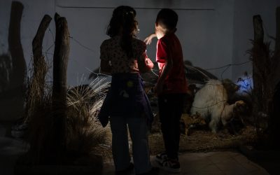 Más de 600 personas participaron de una nueva edición de La Noche de las Linternas en el Museo Serrano