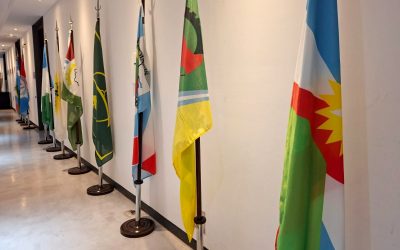 Veinte localidades se suman a la muestra de Vexilología en el Museo Casa de Gobierno