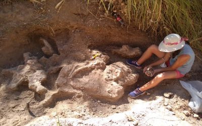 El Museo Serrano participa del Congreso de la Asociación Paleontológica Argentina