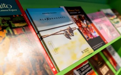 La Editorial de Entre Ríos convoca a autores de la provincia para participar de la Feria Internacional del Libro de Buenos Aires