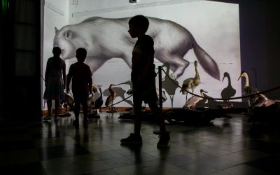 El Museo Serrano invita a conocer su Reserva Técnica 