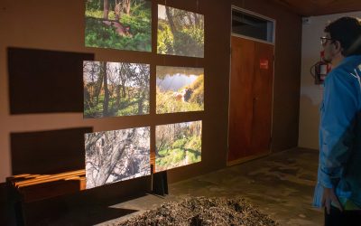 Sigue abierta la convocatoria de obras para exponer en el 2° Encuentro Entrerriano de Artes Visuales