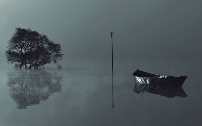 Difundieron las obras seleccionadas del 5° Salón de Fotografía de Entre Ríos
