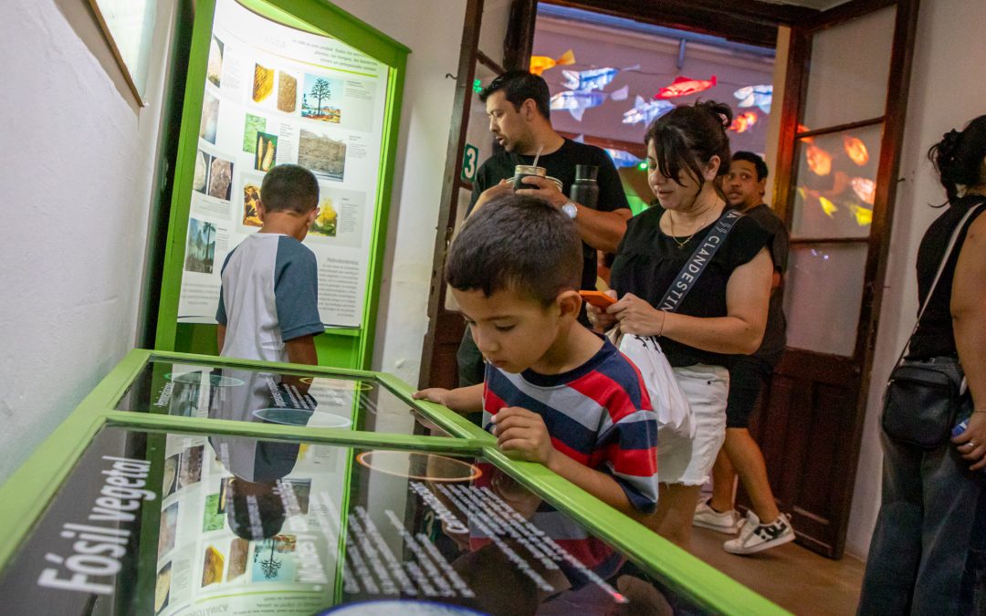 Invitan a instituciones de la provincia a ser parte de La Noche de los Museos Entrerrianos