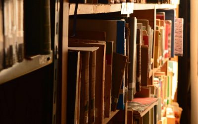 La Biblioteca Provincial avanza hacia la integración federal mediante la modernización tecnológica
