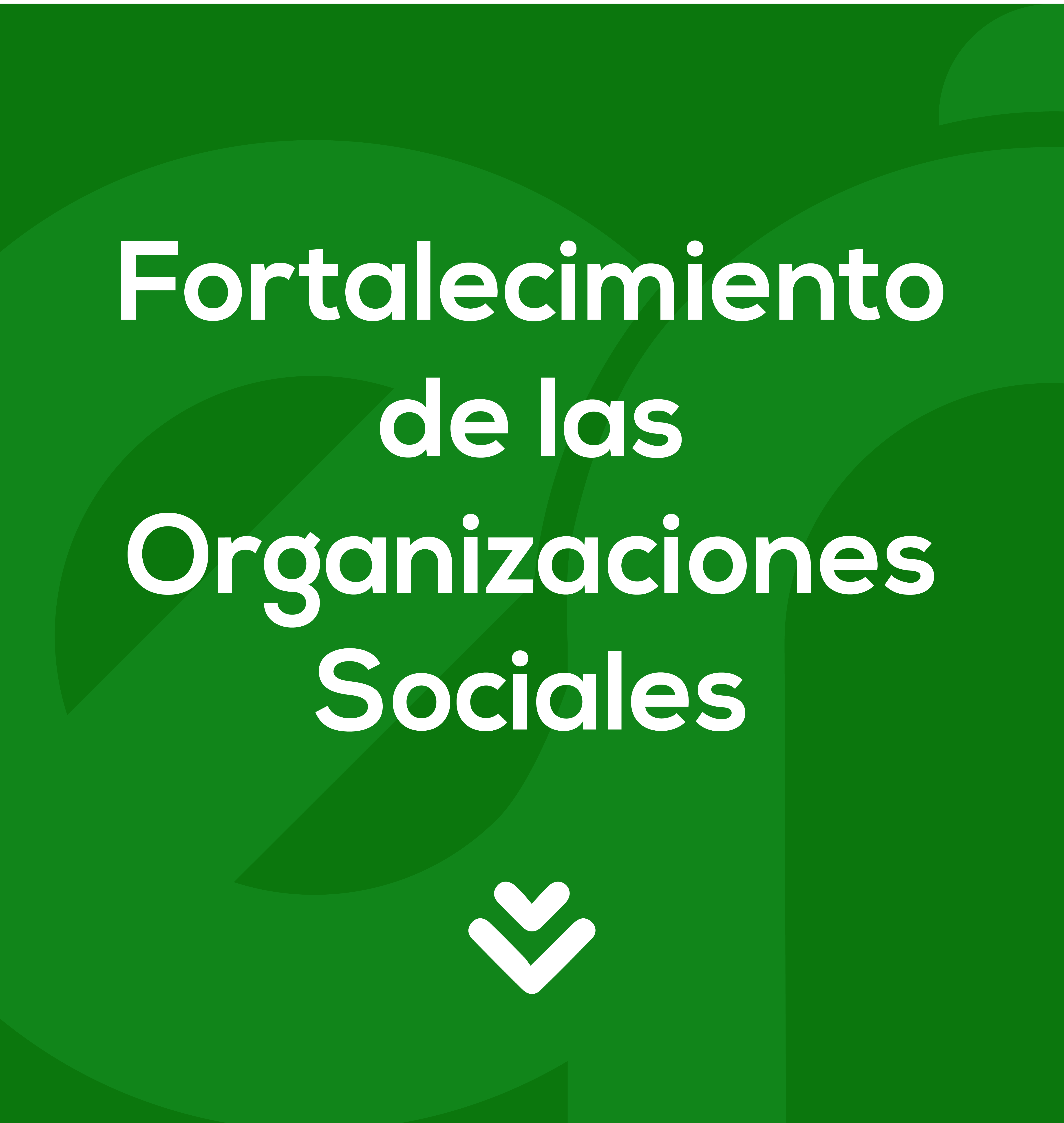 FORTALECIMIENTO DE LAS ORGANIZACIONES SOCIALES
