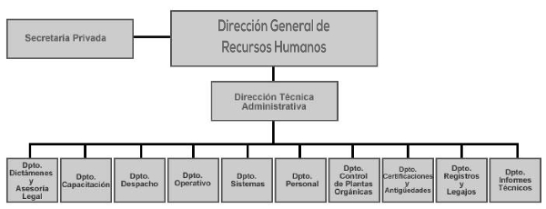 Estructura Orgánica