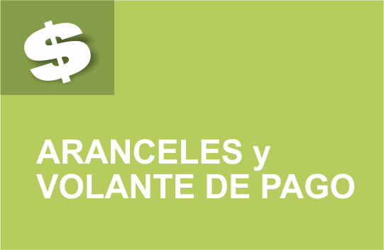 ir al volante de pago
