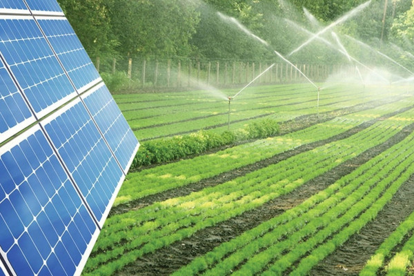 Micro, pequeñas y medianas empresas entrerrianas ya pueden acceder al financiamiento verde