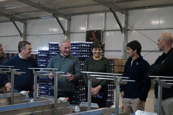 Schneider y Zapata recorrieron la obra de electrificación que beneficiará a 80 usuarios rurales del sur entrerriano
