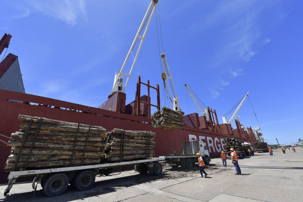 Ingresan dos buques al puerto de Concepción del Uruguay para exportar madera a India