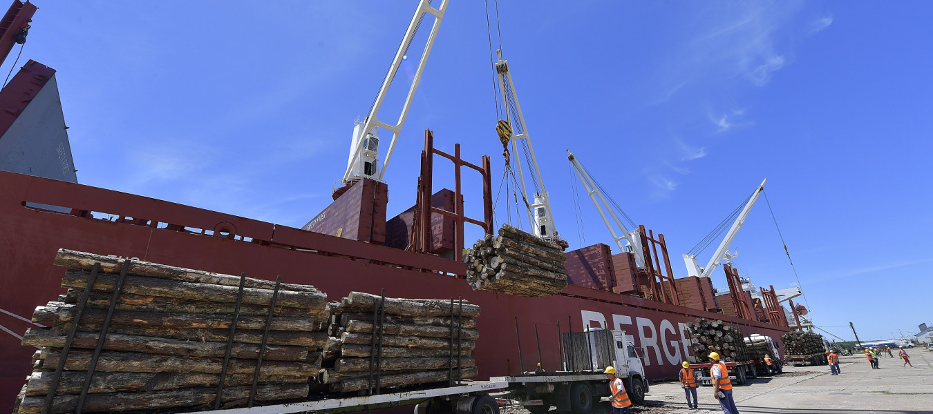 Ingresan dos buques al puerto de Concepción del Uruguay para exportar madera a India