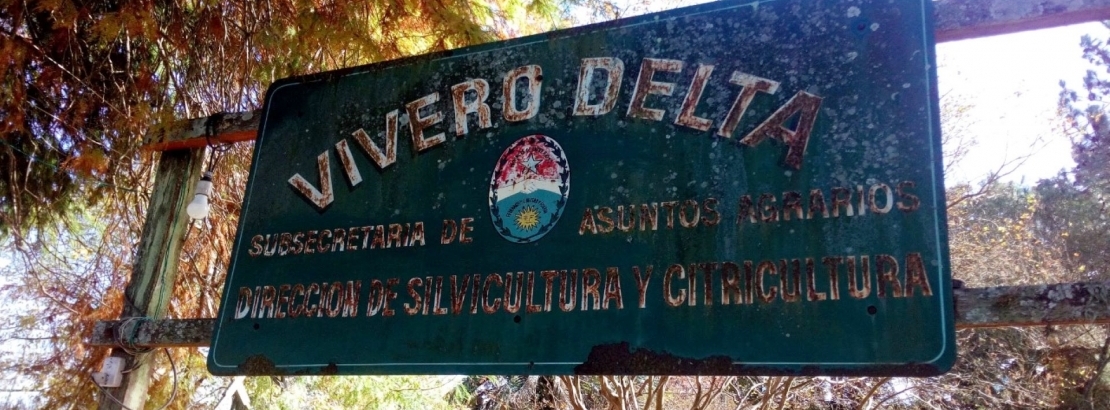 La provincia reactiva el vivero forestal Delta en Villa Paranacito
