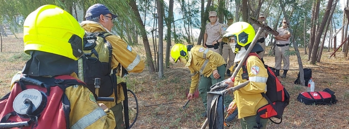 Trabajan intensamente para combatir los incendios en la isla Puente de Paraná