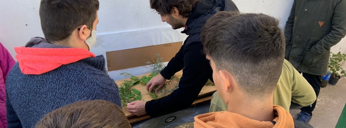 Se realizan talleres para estudiantes secundarios sobre producción de árboles nativos