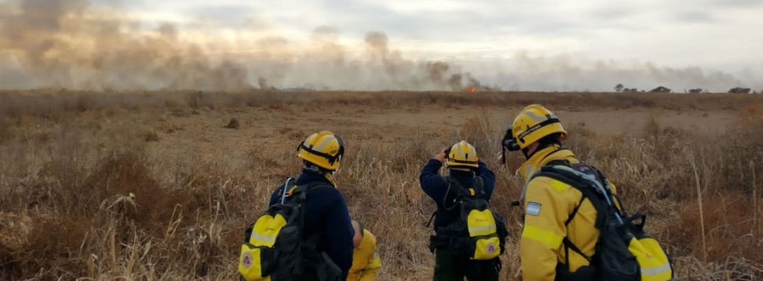 Imagen de Más de 100 brigadistas combaten los incendios en islas del Delta