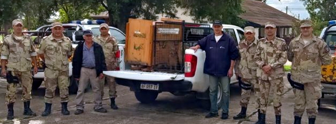 Rescatan cinco carpinchos en cautiverio en el departamento La Paz