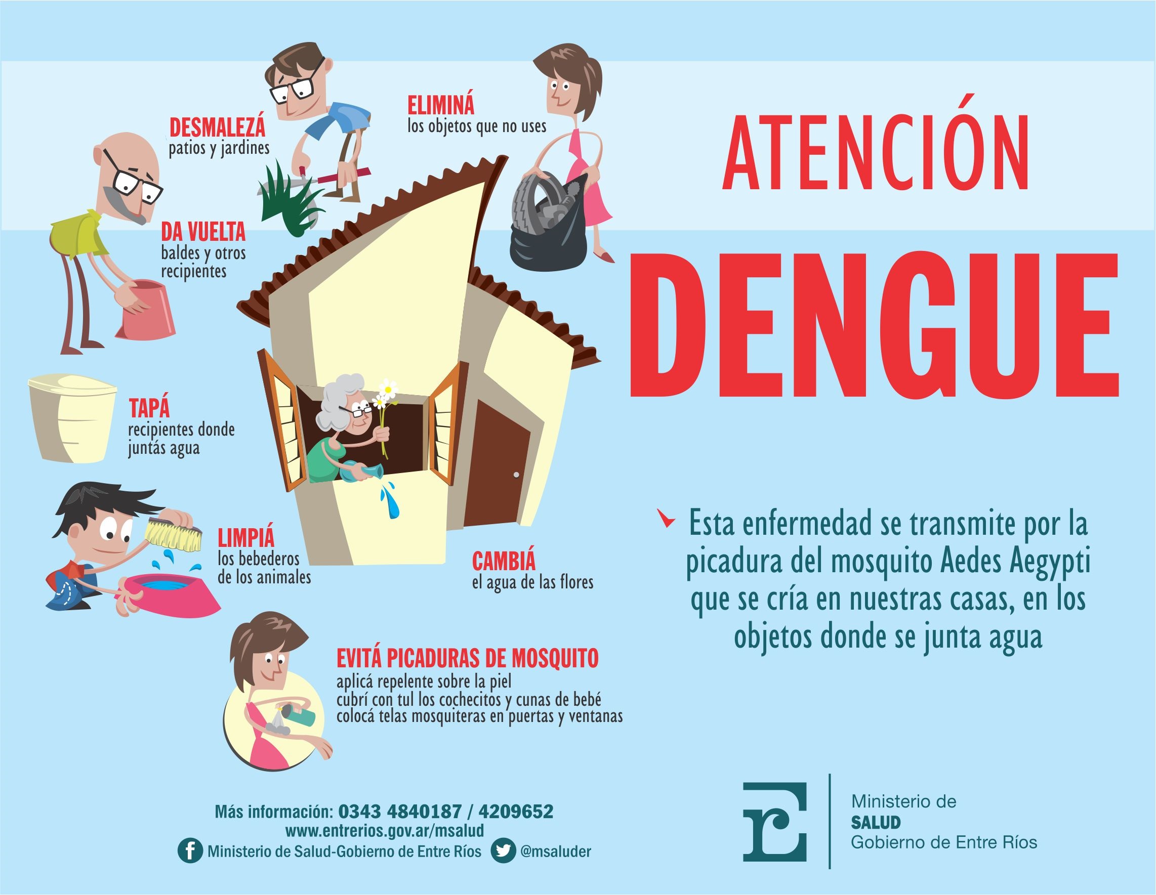 africano juego Descendencia Reiteran recomendaciones para evitar la proliferación del dengue -  Ministerio de Salud