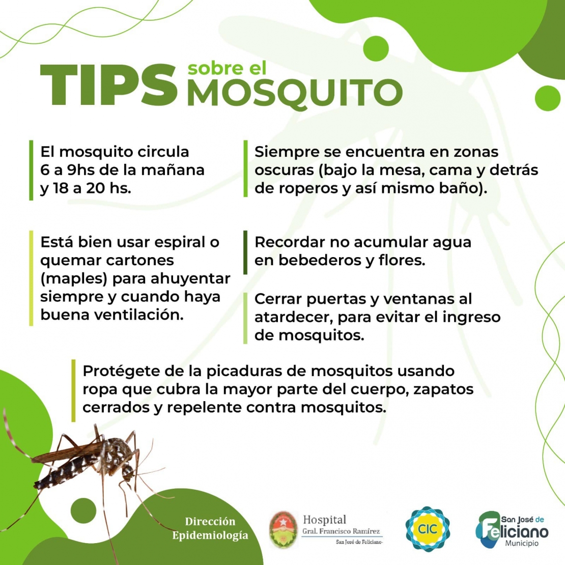 Tips a tener en cuenta sobre el dengue 🦟