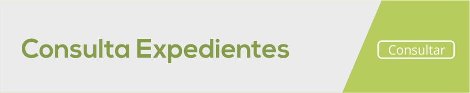 Ir a consultar expedientes