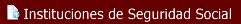 INSTITUCIONES DE SEGURIDAD SOCIAL