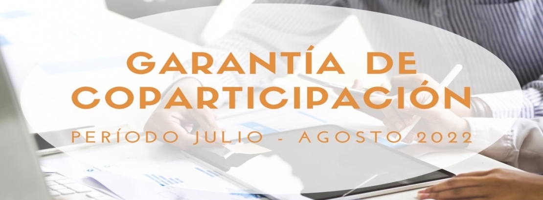 Acreditacin del 100% de la Garanta de Coparticipacin Nacional y Provincial - Perodo JULIO-AGOSTO 2022